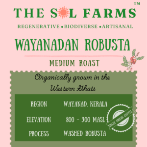 Wayanadan Robusta