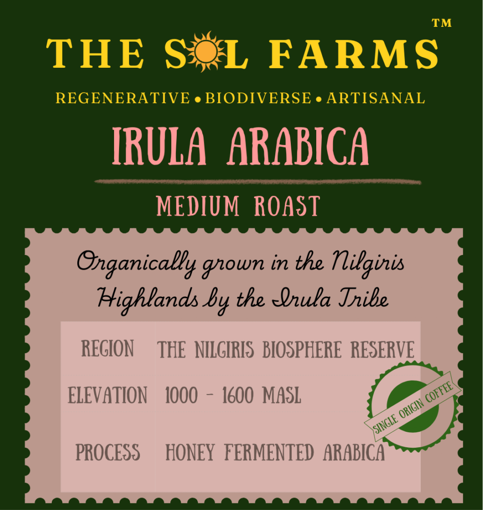 Irula Arabica